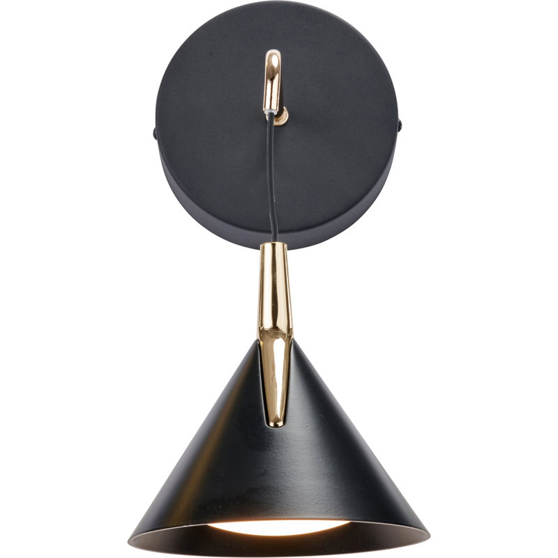 Tescott Iron LED Armed Sconce