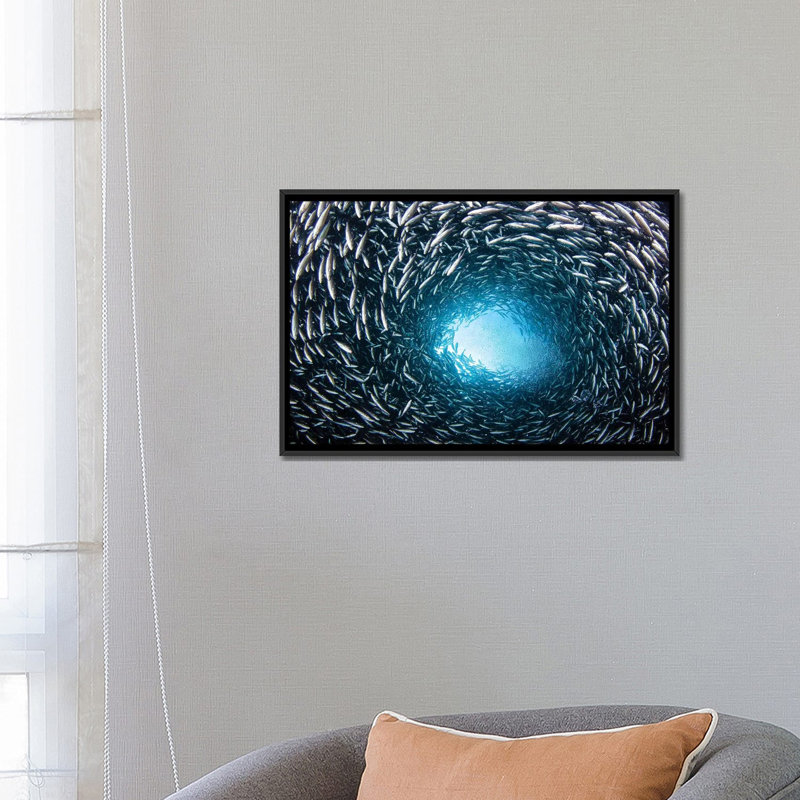 A School Of Black Striped Salema Fish, Endemic To Galapagos Islands, Ecuador by VWPics - Unframed Graphic Art on Canvas