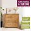 Ellis Solid Wood 83cm W 4 - Drawer Chest of Drawers