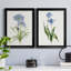 " Blue Lively Botanical I " 2 - Pieces-61455434-61455439