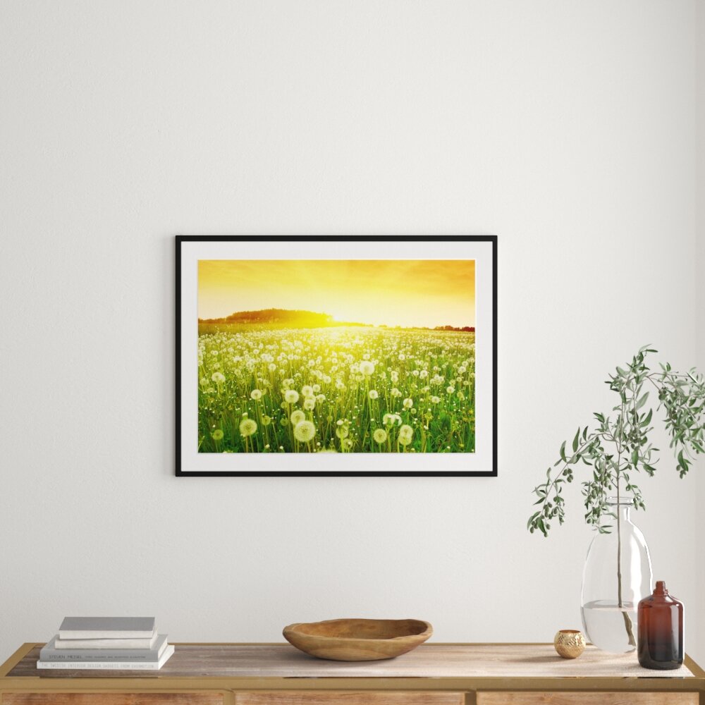 Gerahmtes Poster Pusteblumen Sonnenuntergang