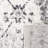 Newhouse Oriental Silver/Gray Area Rug-2091055006