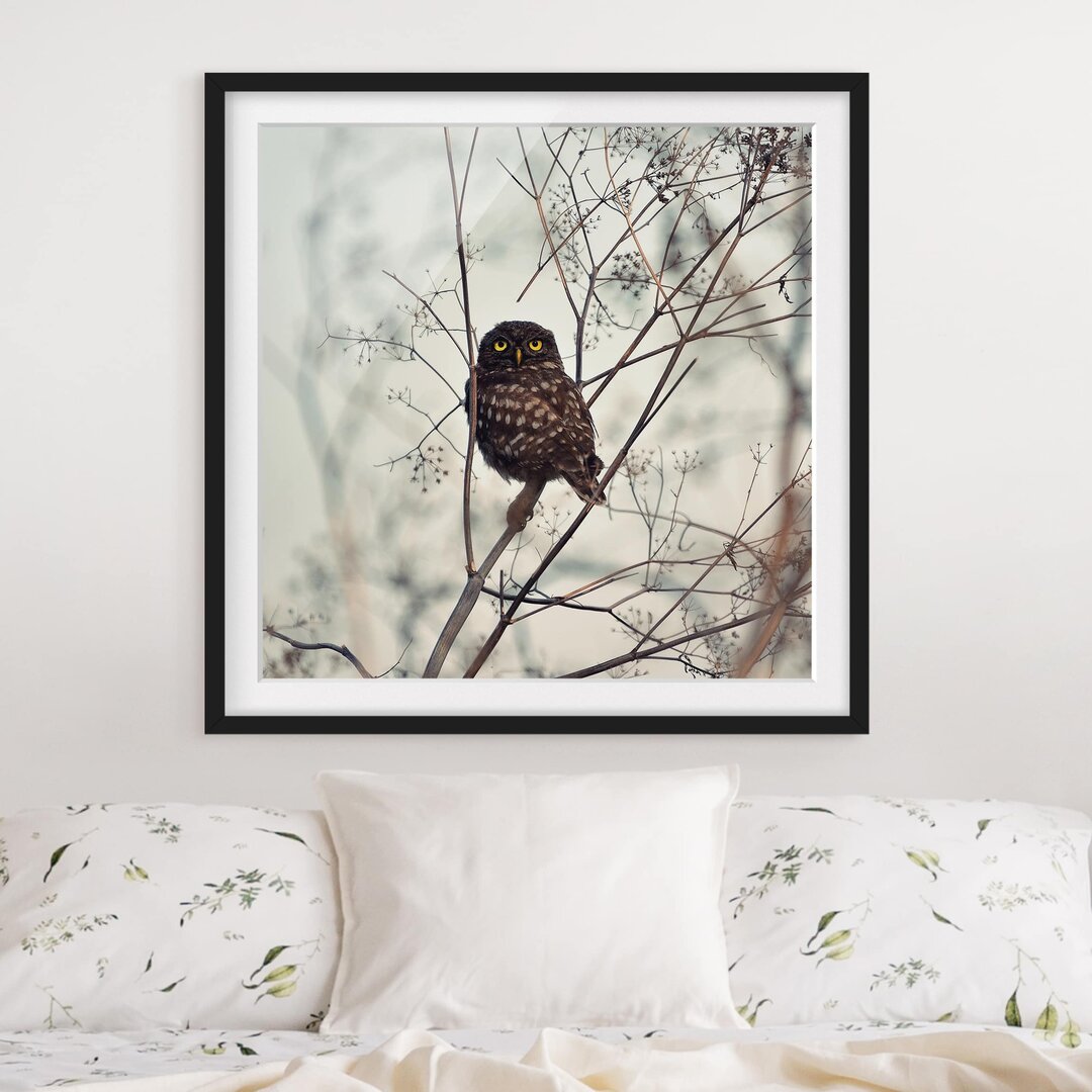 Gerahmtes Poster Owl in Winter