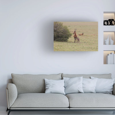 Art sur toile «Bob Bob Langrish»