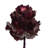Preserved Queen Flower Arrangement