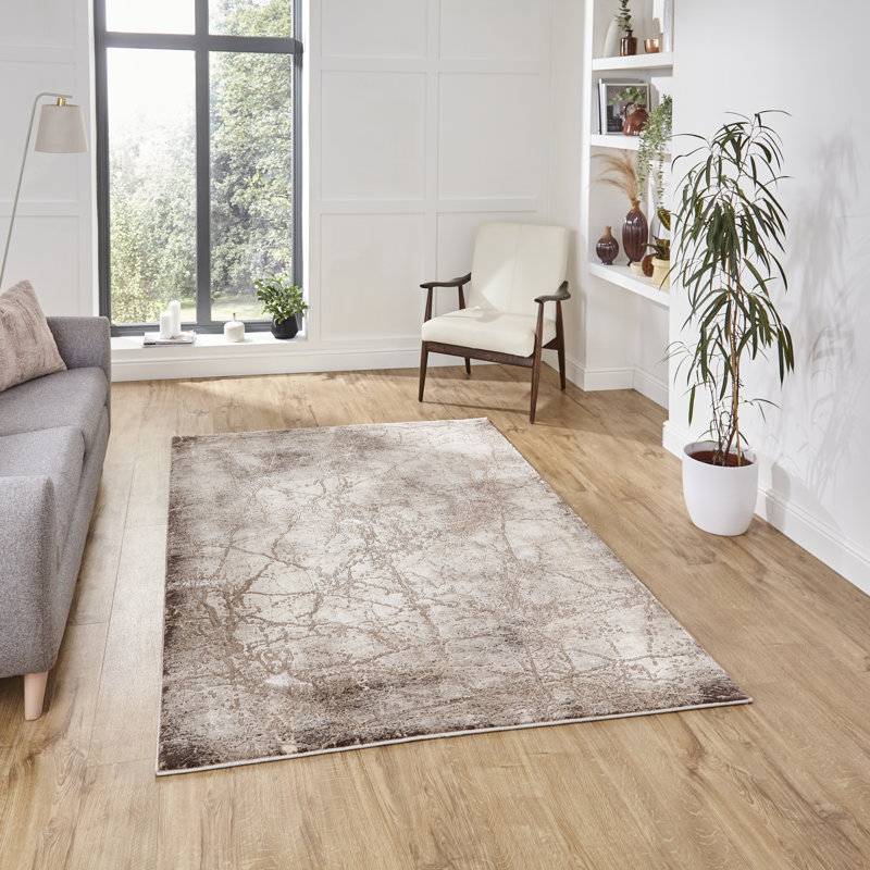 Hameldon area rug Machine Woven Rectangle Beige