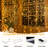 Belva Outdoor 200 - Bulb 80'' Plug-in LED Curtain String Light