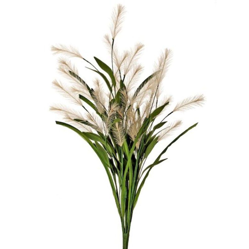 Plumes, herbes et arbres