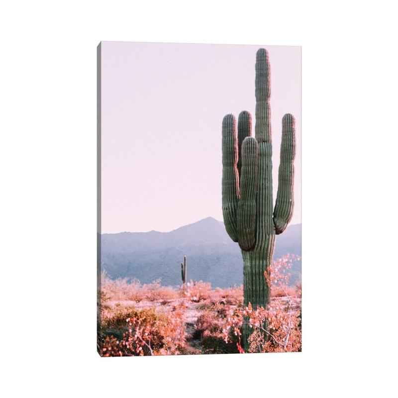 Desert Cactus - Wrapped Canvas Gallery-Wrapped Canvas Giclée, 66.04 cm H x 45.72 cm W x 3.175 cm D