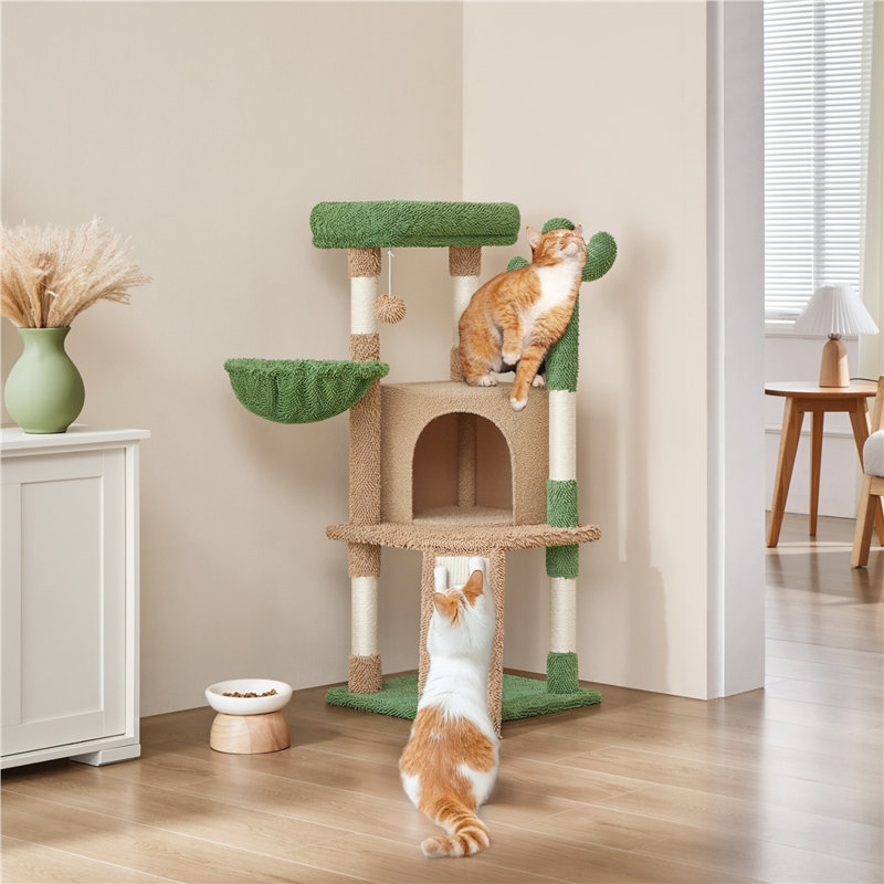 Arbre à chat 42 "Gilpin Cactus, Brun/vert