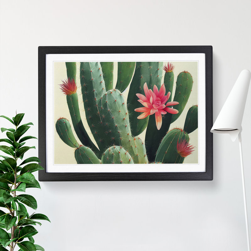 Splendorous Cactus - Framed Print, 25cm H x 34cm W x 2cm D, Black