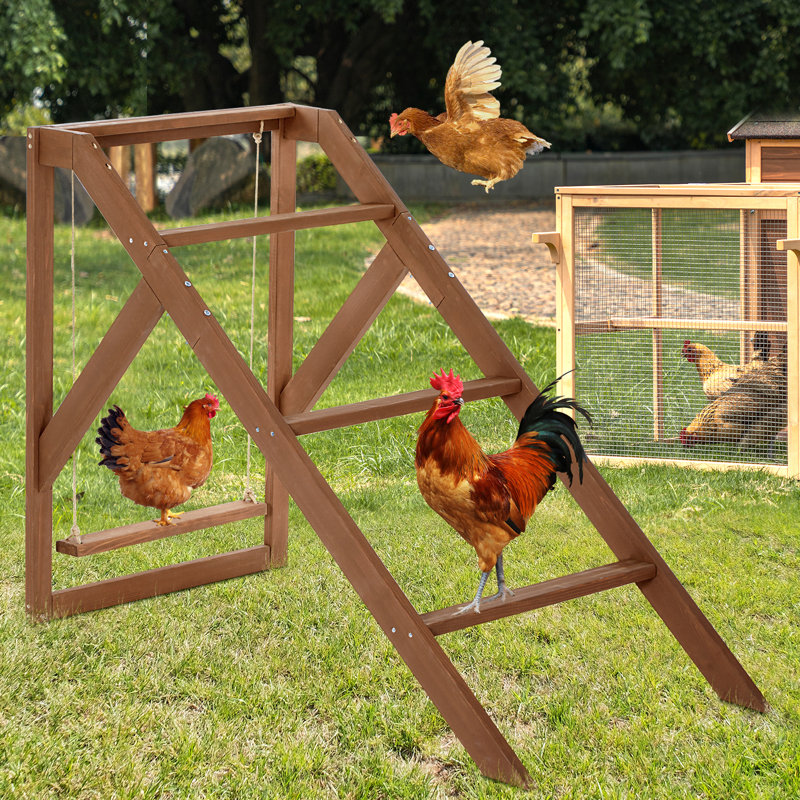 Ensemble Ellzy pour animaux de compagnie en santé et heureux, 4 perchoirs avec balançoire pour 8 à 10 poussins, jouets pour poulets pour accessoires de poulailler