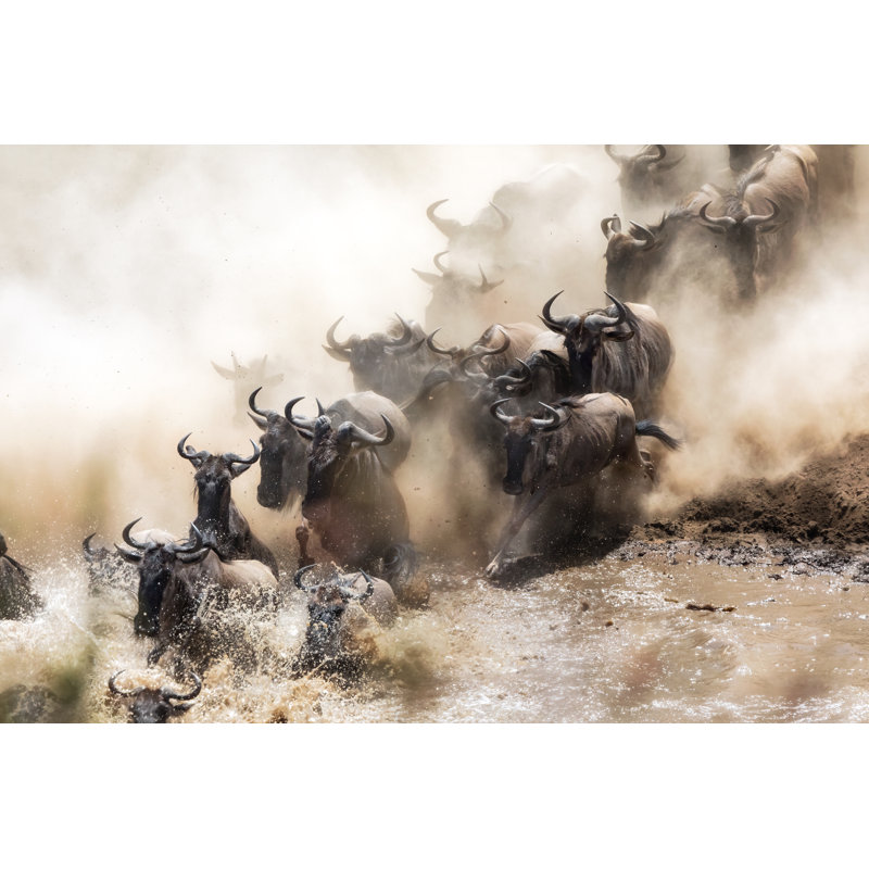 Wildebeest Herd by Rixipix - Wrapped Canvas Print, 81cm H x 122cm W