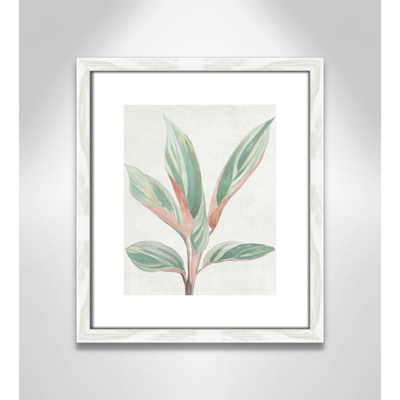 Ginger Plant I - reproduction d'art, Papier avec cadre en bois blanc, H 15 po x l 13 po x P 0,75 po