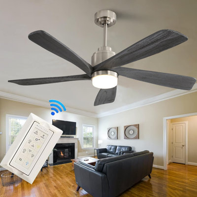 Mannette 52'' Ceiling Fan with LED Lights