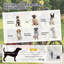 Pet Bike Trailer