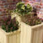 Wood Planter Box