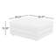 Donia Upholstered Ottoman-1621848117