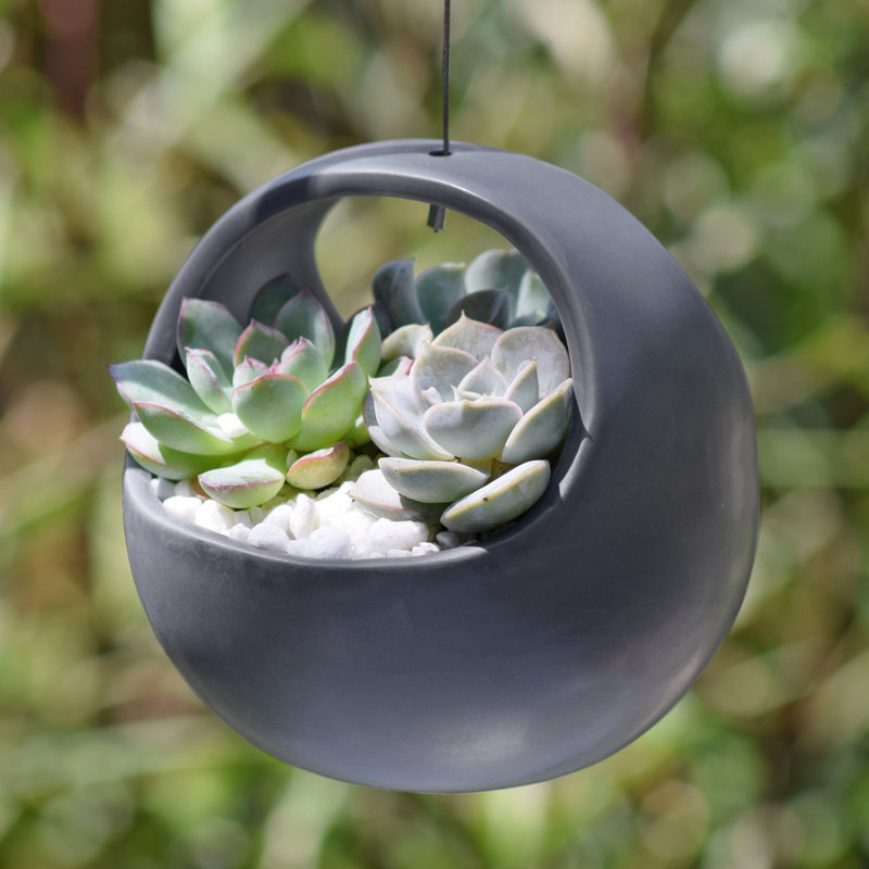Pot à fleurs suspendu en céramique Farringdon, Gris foncé