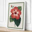 Hibiscus Study Botanical - Wrapped Canvas-1321183075-1321183132