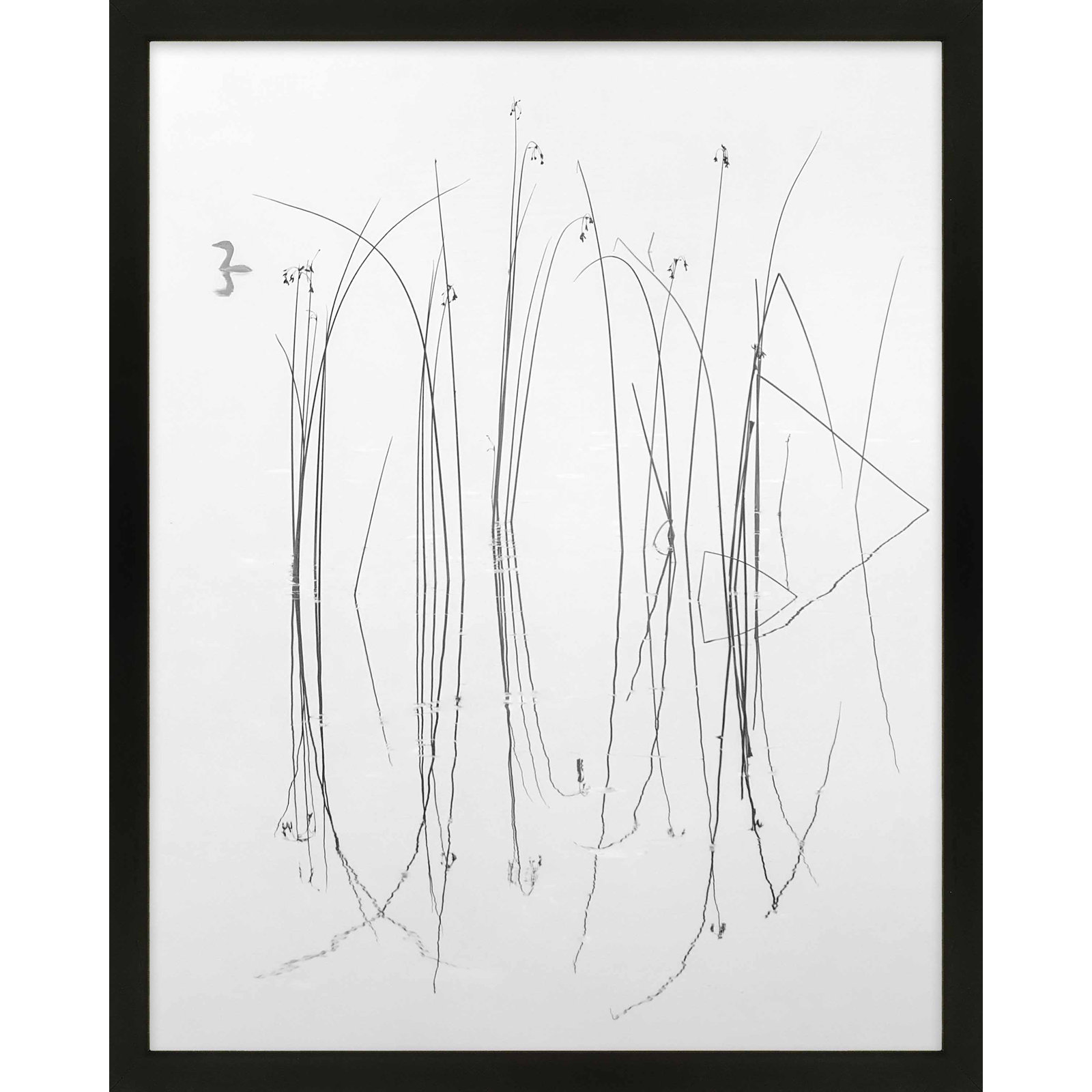 Lost in the Reeds by Laura Zimmerman - Framed Wall Art, 38" H x 30" W, Black