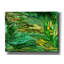 «Wild Seeds Spring» par Carol Cavalaris, art mural sur toile-102452817