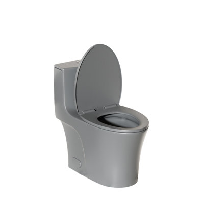 Grey 002 Toilet, 1/1.60 Allure, Water Elongated Comfort Height Floor Mounted With Reviving Soft Closing Seat Accuracy, Serene