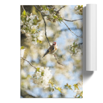 Goldfinch Bird in a Cherry Tree Painting - Frameless Print