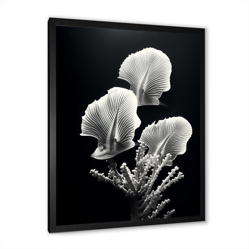 «Black and White Modern Coral Dream - Beach and Ocean, art mural sur toile, Cadre photo noir simple