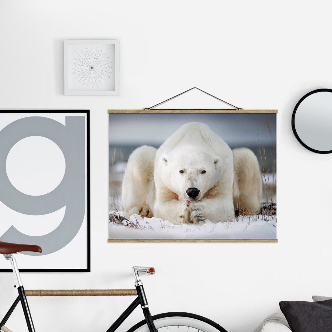 Fotodruck Pensive Polar Bear