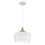 Luminaire suspendu en forme de dôme à 1 lumière Gagne 1-189802638-256500081