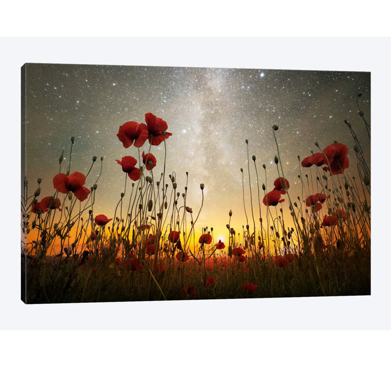 Adrian Borda - Wrapped Canvas Print, 66.04 cm H x 45.72 cm W x 3.175 cm D