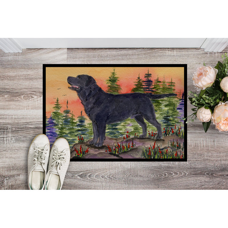 Tapis d'entrée antidérapant Tekonsha Labrador, Rectangle 2 pi x 3 pi