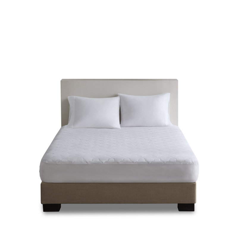 Protège-matelas en coton percale matelassé Alwyn Home Sais, Très grand californien