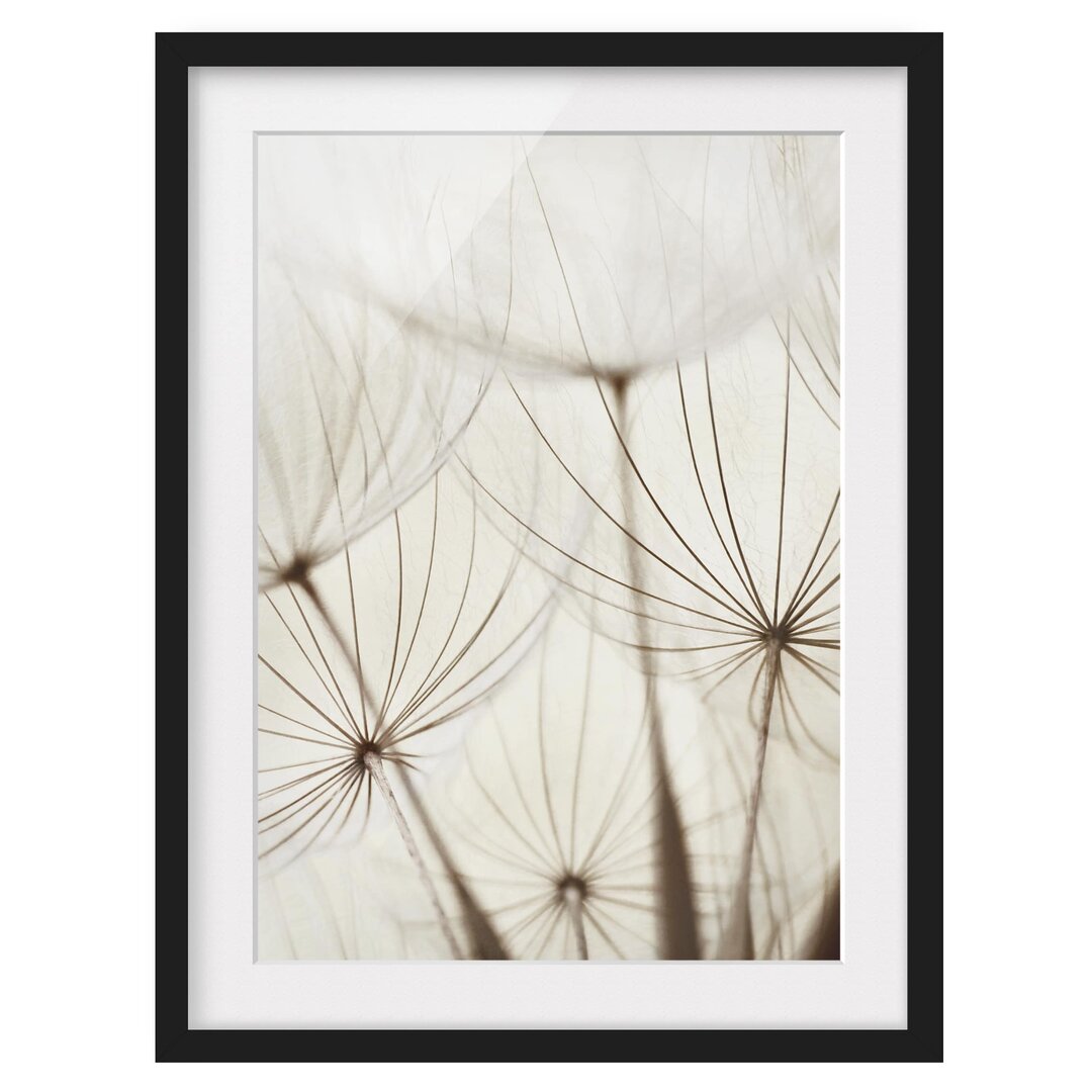 Gerahmtes Poster Soft Grasses