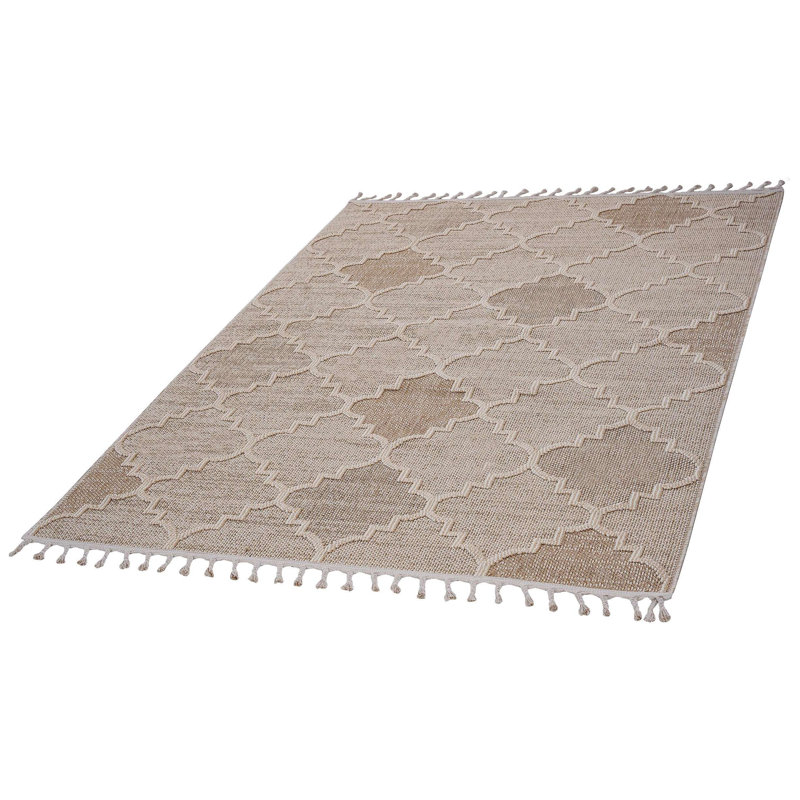 Collection Trellis Indoor/Outdoor Area Rug, Rectangle 5'3" x 7'6", Cream