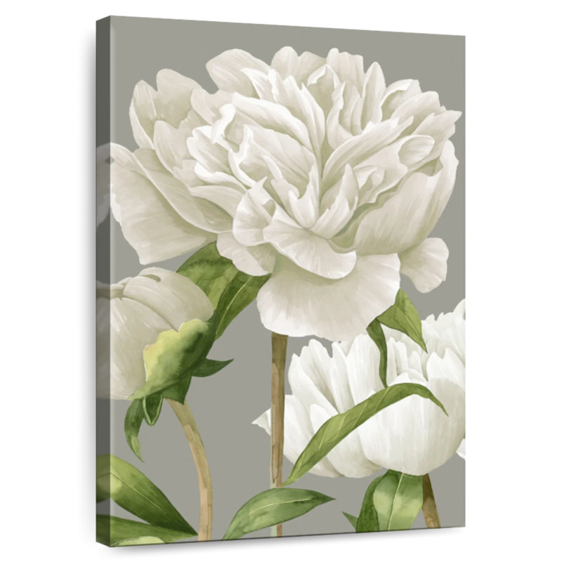 Pivoines blanches Harnek II, H 36 po x l 24 po