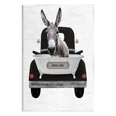 " Nice A** Donkey Phrase "