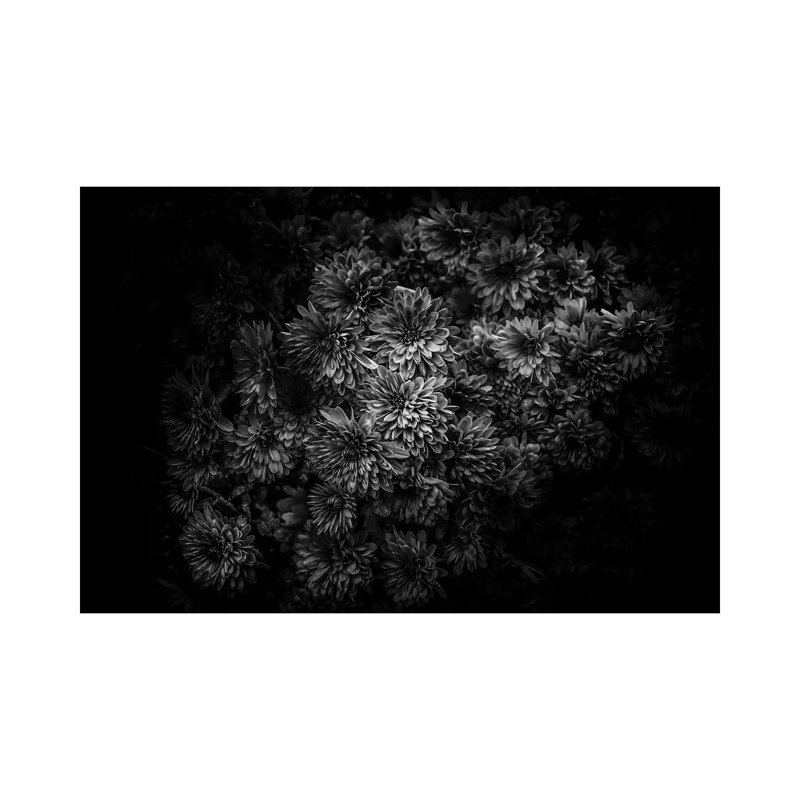 Black And White Mum Bouquet by Brian Carson - Wrapped Canvas Print, 30.48 cm H x 45.72 cm W