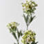 Alyssum artificiel blanc en soie Audet (paquet de 1 branche)