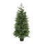 The Holiday Aisle® 5 ft. Cypress Tree in Nursery Pot