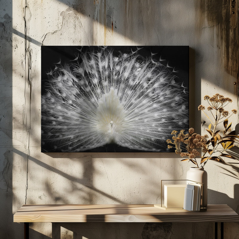 white Canvas Print