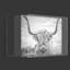 Reproduction de photo sur toile-118739197-118739196