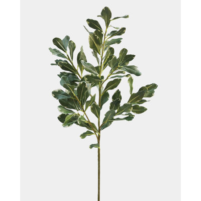Artificial Pittosporum Leaves 30"