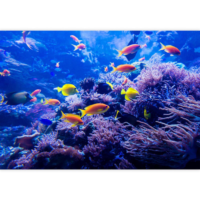 Nautical Ocean Border, 100" L x 144" W