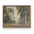 Noyer