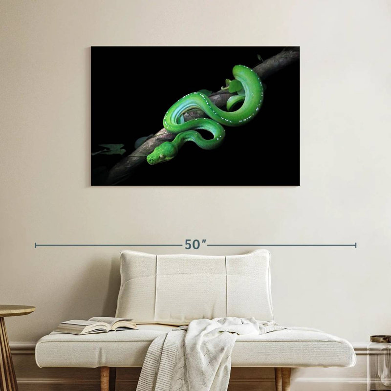 Brampt Green Python Slithering On A Branch, 26" H x 39" W
