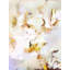A Summer Rain Print-67994445