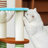 4 Tiers Cat Tree with Condons,Perch,Scratching Posts