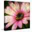 Daisy Panel 2 by Honey Malek - Wrapped Canvas Print-1249255444